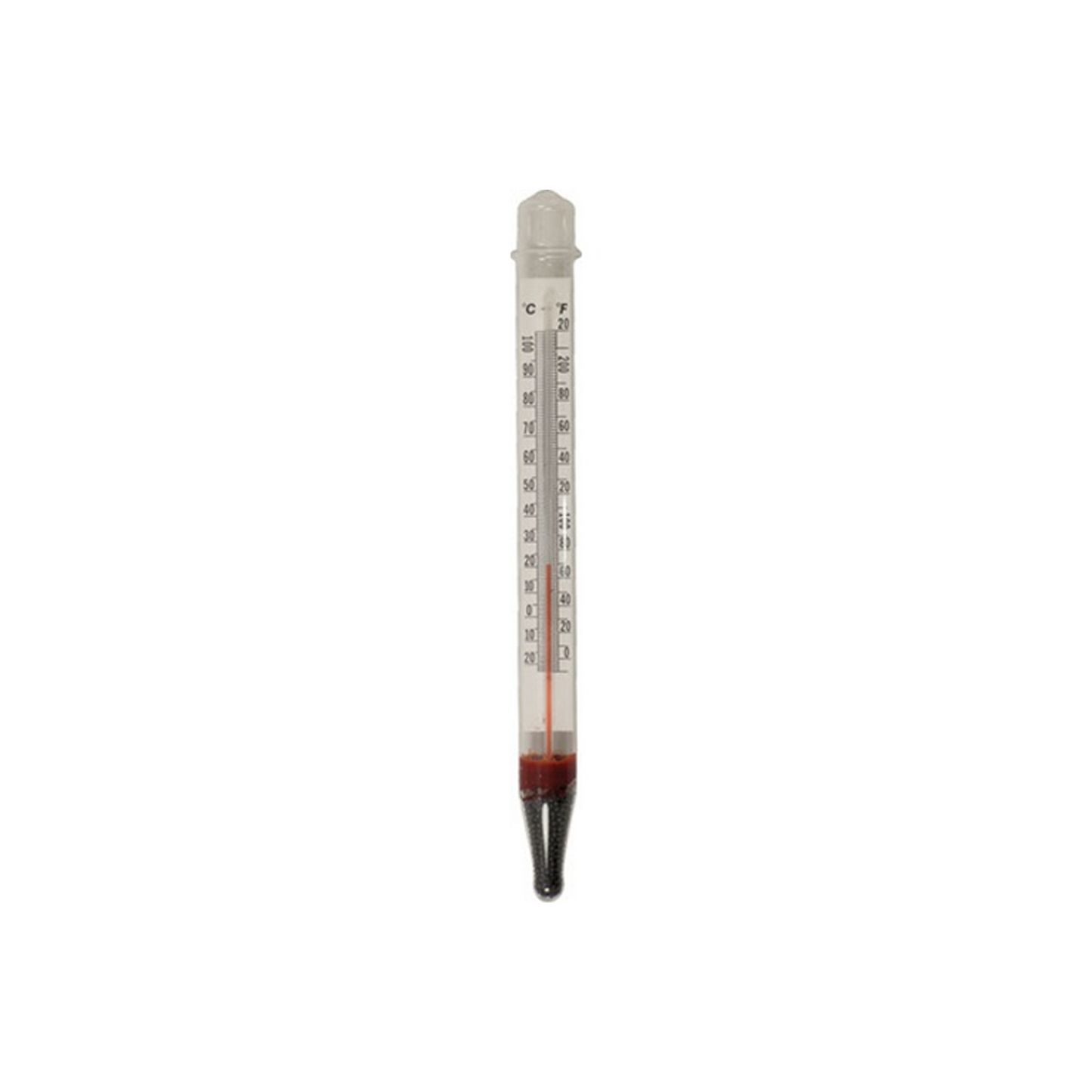 BSG Floating Thermometer