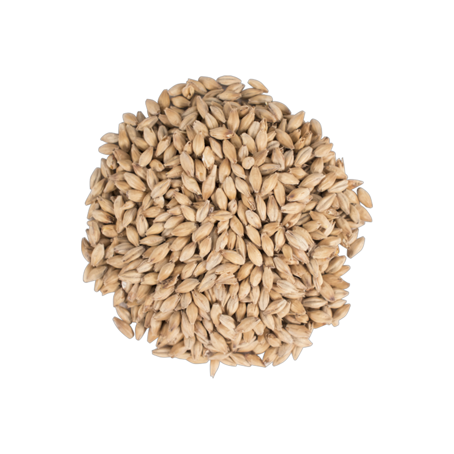 Golden Promise - Malt