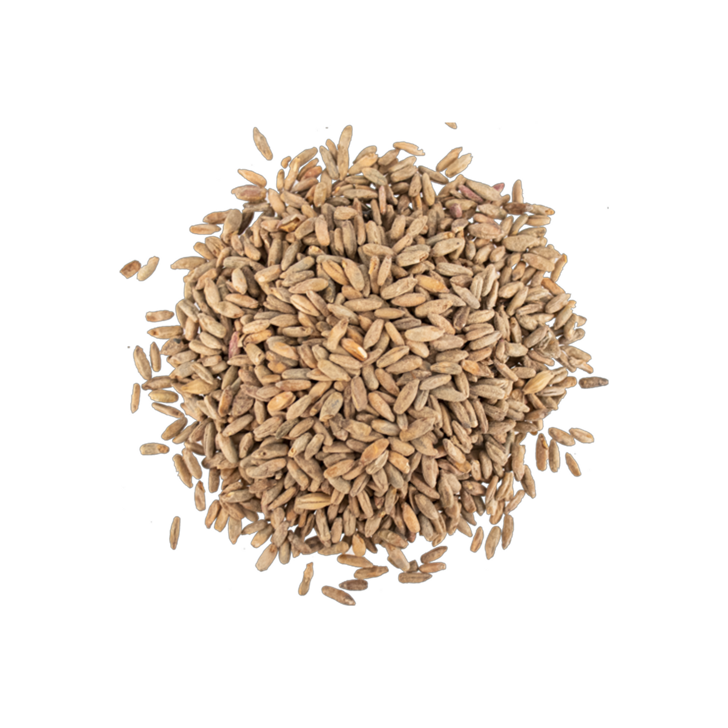 Rye Malt