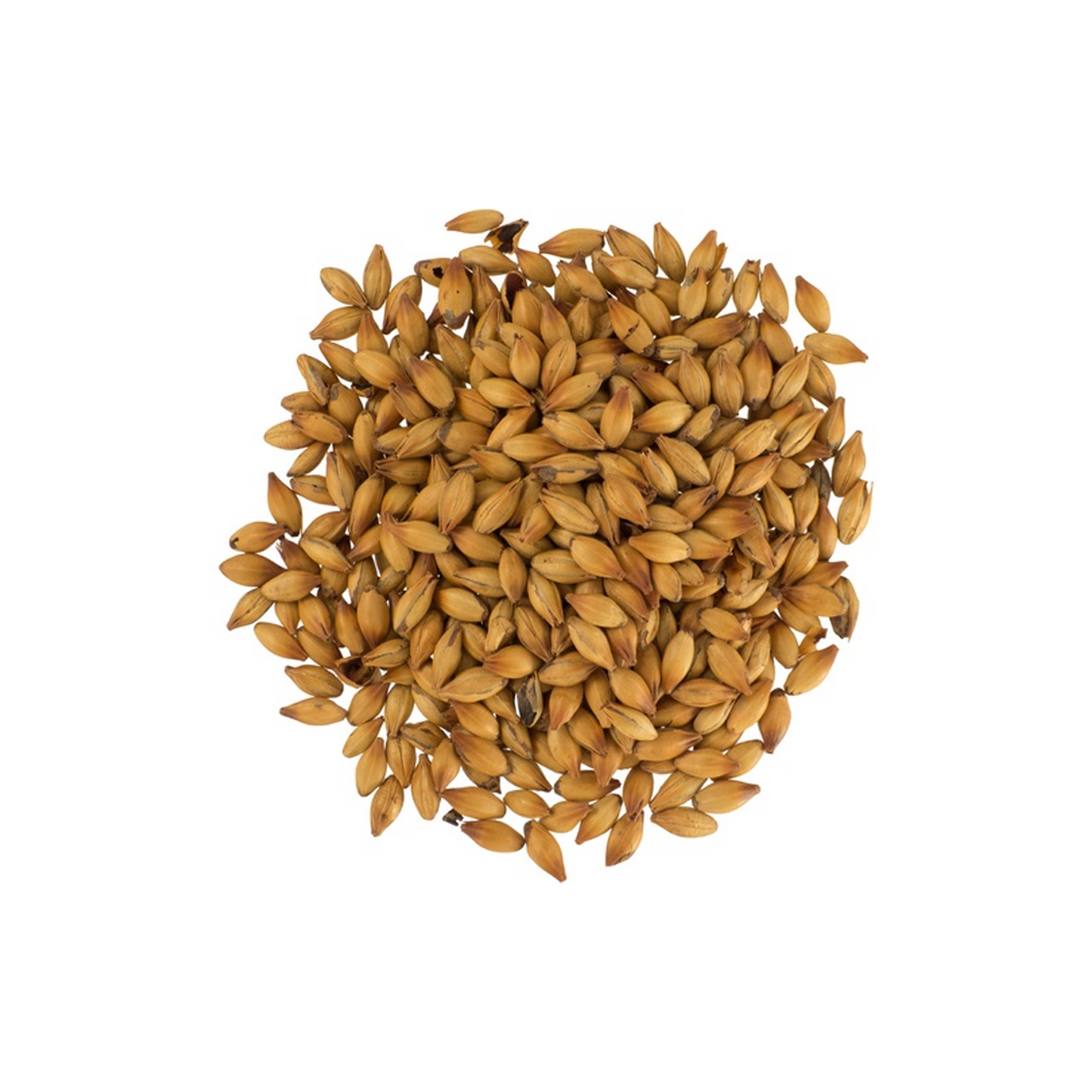 Special B - Belgian Malt