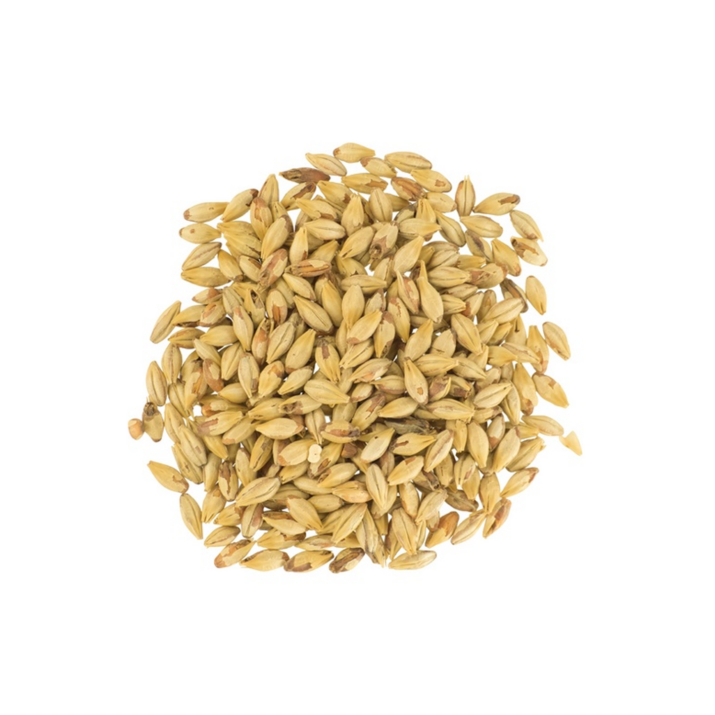 Biscuit Malt - Dingemans