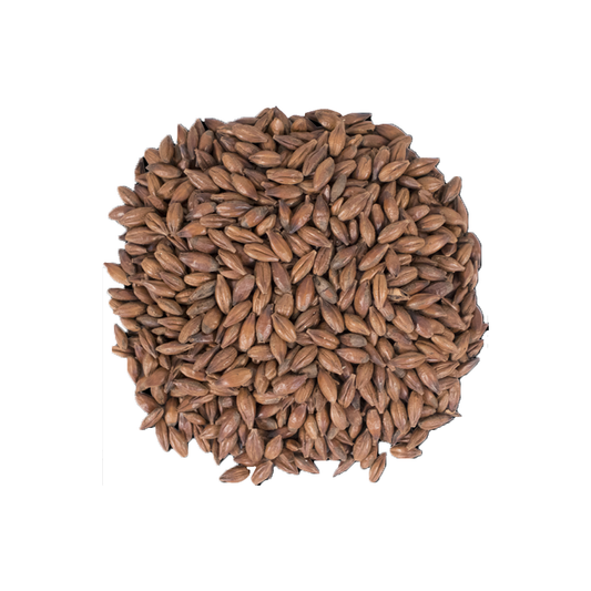Pale Chocolate Malt