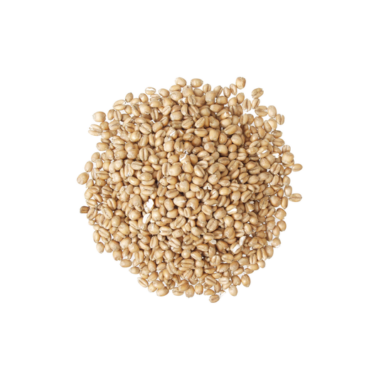 Torrified Wheat